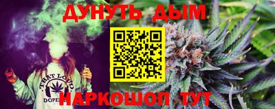 сатива Коммунар