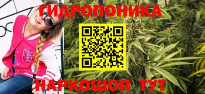 шишки Конаково