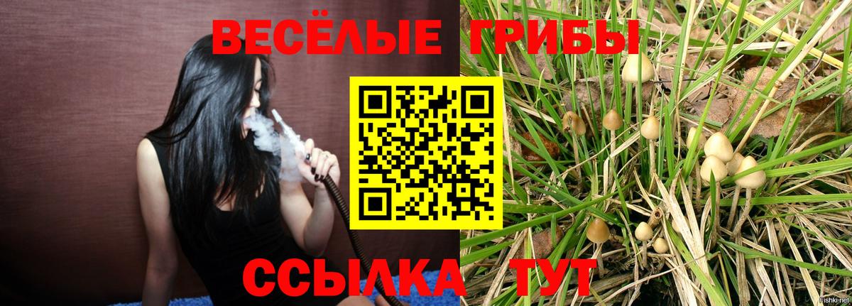 Псилоцибиновые грибы Psilocybine cubensis  Вход с VPN  Дзержинск 