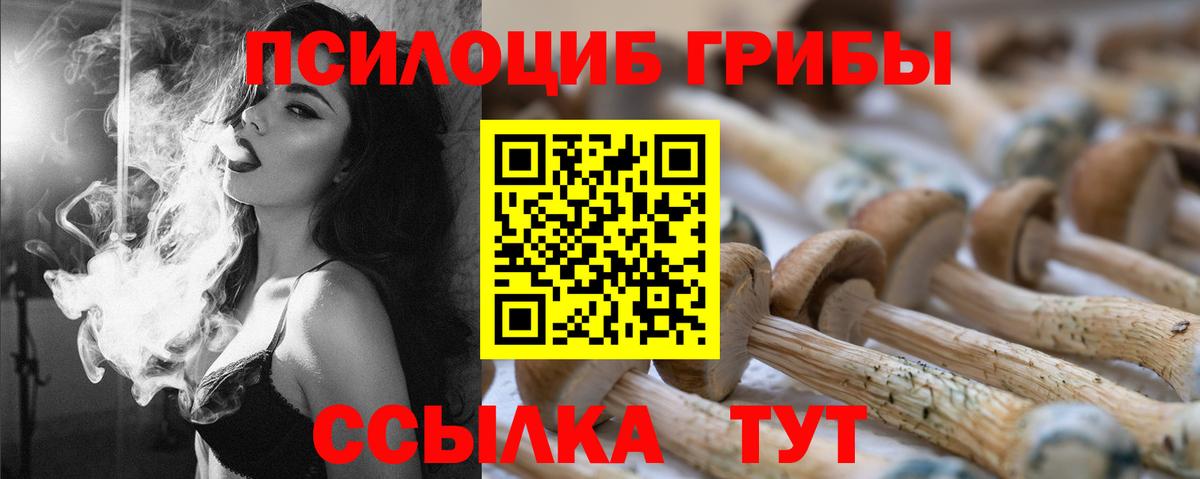 Псилоцибиновые грибы мицелий Дзержинск